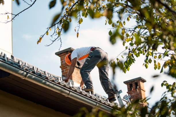 Best Roof Maintenance Services  in Salem, VA