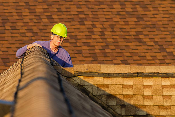 Best Roof Gutter Cleaning  in Salem, VA